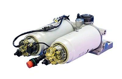 Dual-head model